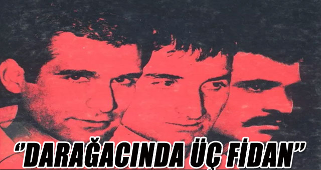 DARAĞACINDA ÜÇ FİDAN