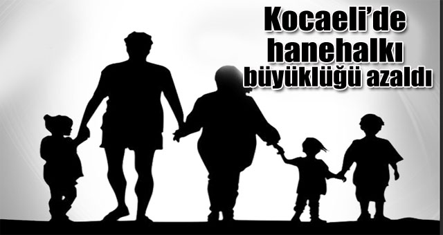 Kocaeli'de hanehalkı büyüklüğü azaldı 