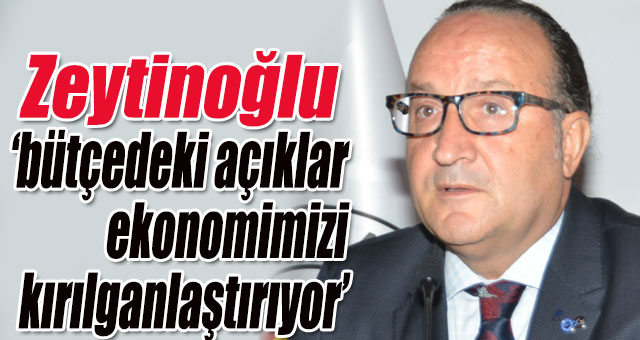 Zeytinoğlu bütçe gerçekleşmelerini değerlendirdi