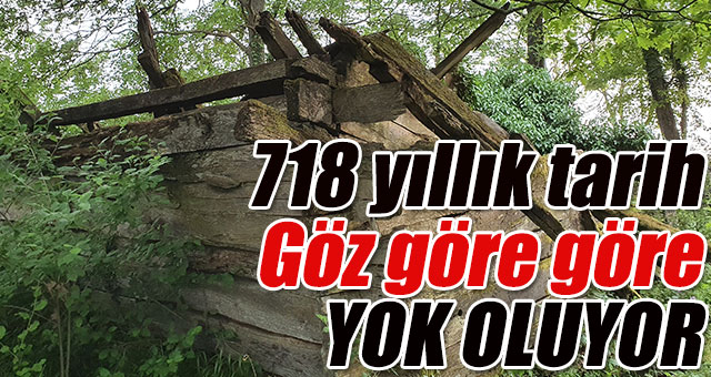 Göz göre göre bir tarih yok oluyor