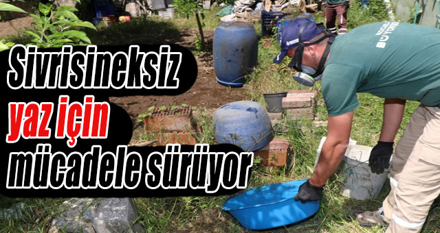 Sivrisineksiz bir yaz için mücadele sürüyor