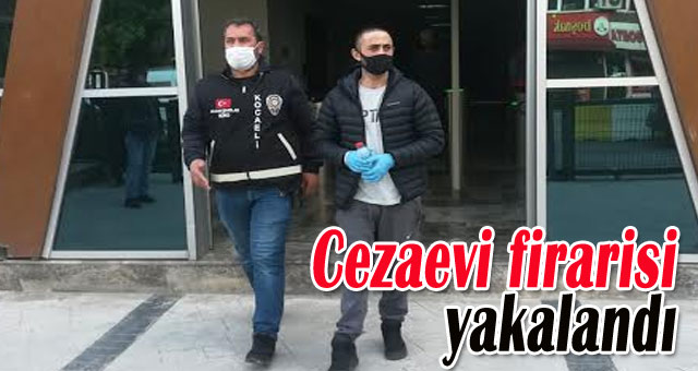 Cinayet zanlısı yakalandı