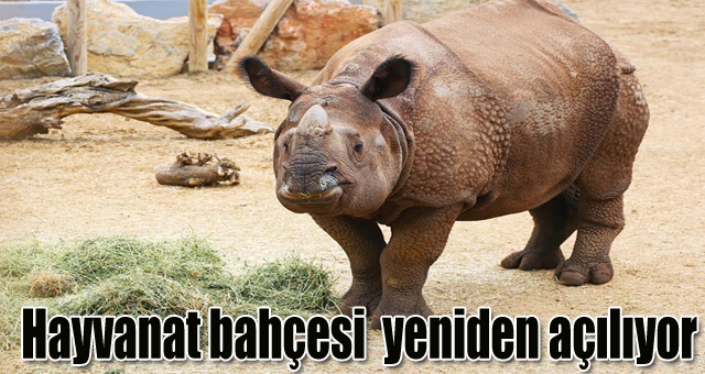 Hayvanat bahçesi  yeniden açılıyor