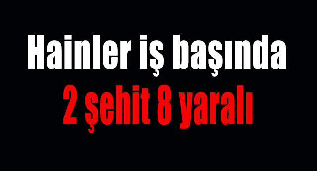 Hainler iş başında