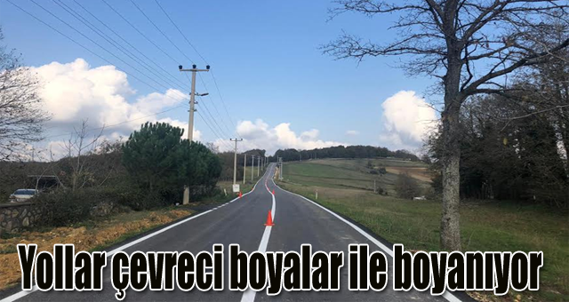Yollar çevreci boyalar ile boyanıyor