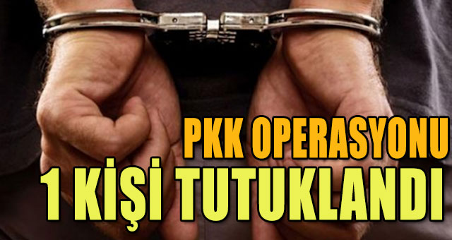 Kocaeli'de PKK operasyonu