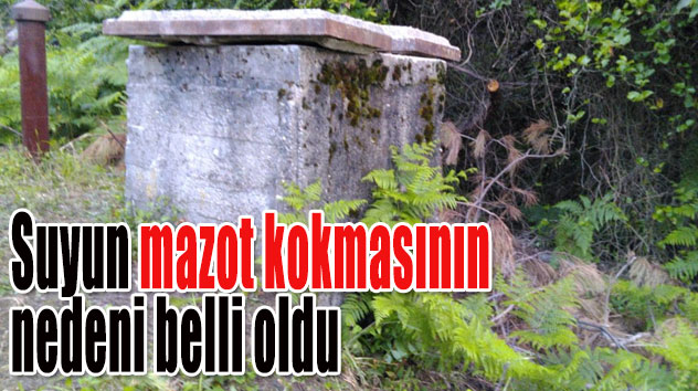 Vatandaşın ihbarı kaçak hattı ortaya çıkarttı