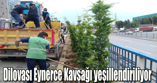 Dilovası Eynerce Kavşağı yeşillendiriliyor