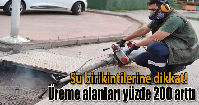 Su birikintilerine dikkat!