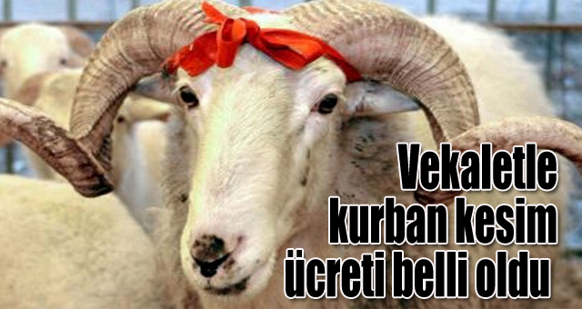 Vekaletle kurban kesim ücreti belli oldu 