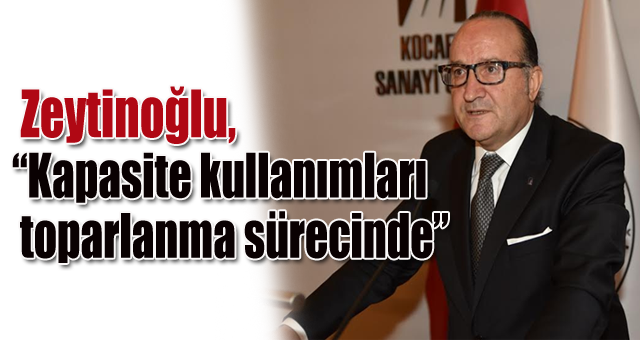 Zeytinoğlu, 'Kapasite kullanımları toparlanma sürecinde' 