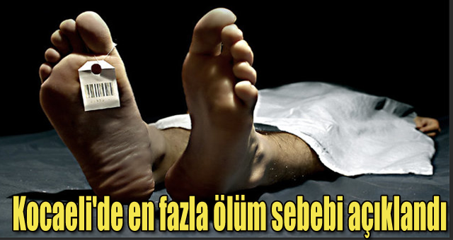 Kocaeli'de en fazla ölüm sebebi açıklandı