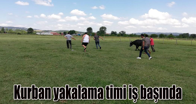 Kurban yakalama timi iş başında 