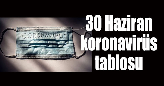 30 Haziran Türkiye koronavirüs tablosu