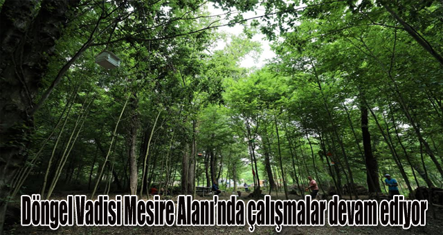 Döngel Vadisi Mesire Alanı’nda çalışmalar devam ediyor