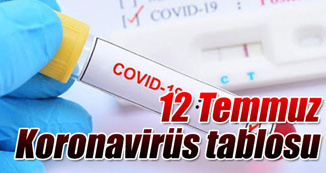 12 Temmuz Koronavirüs tablosu