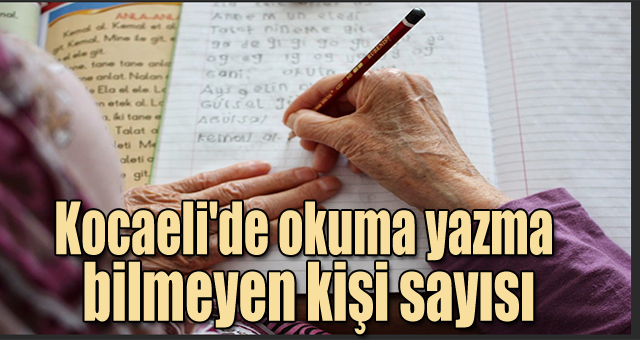 Kocaeli'de okuma yazma bilmeyen kişi sayısı 