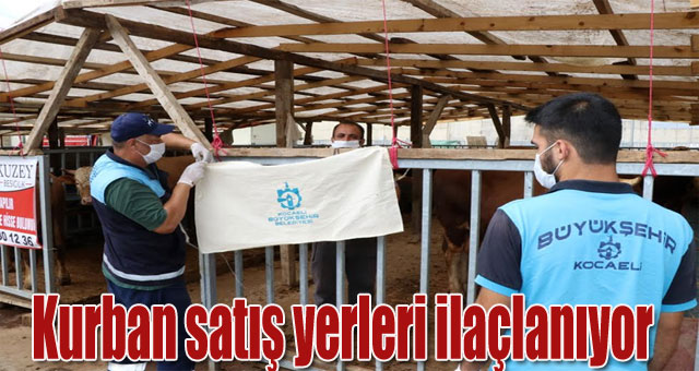 Kurban satış yerleri ilaçlanıyor
