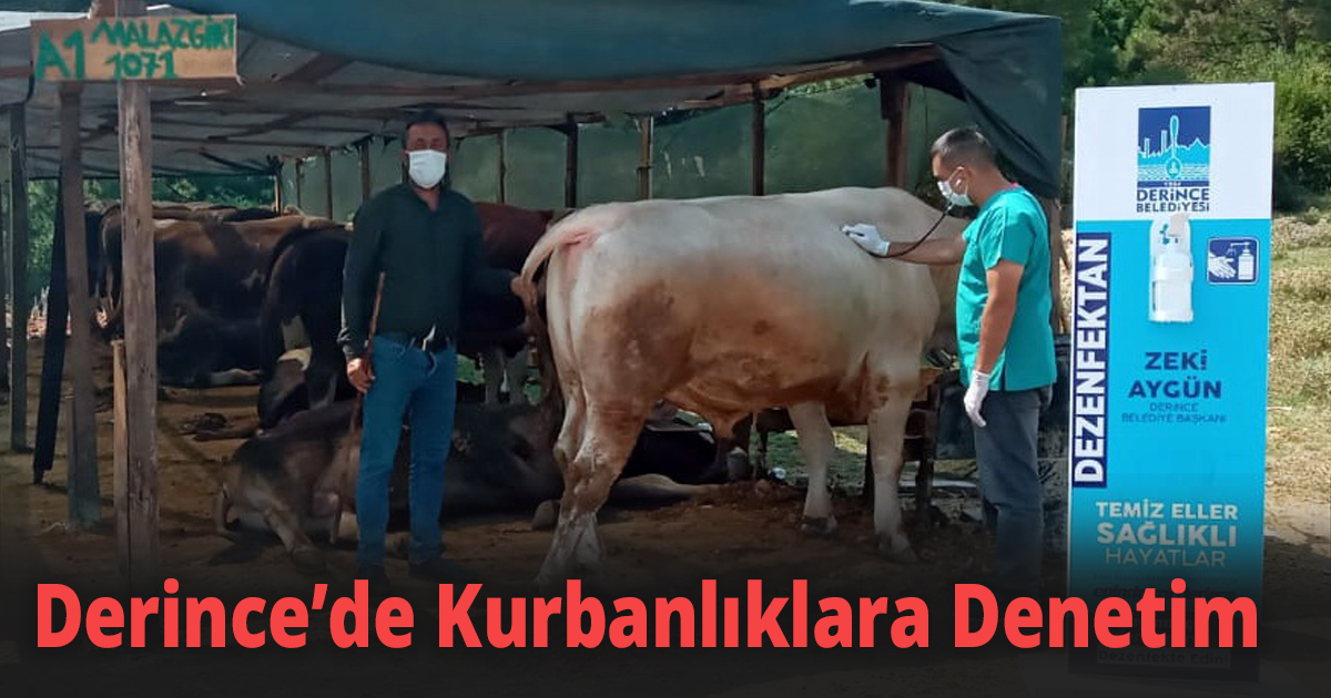 Derince’de Kurbanlıklara Denetim