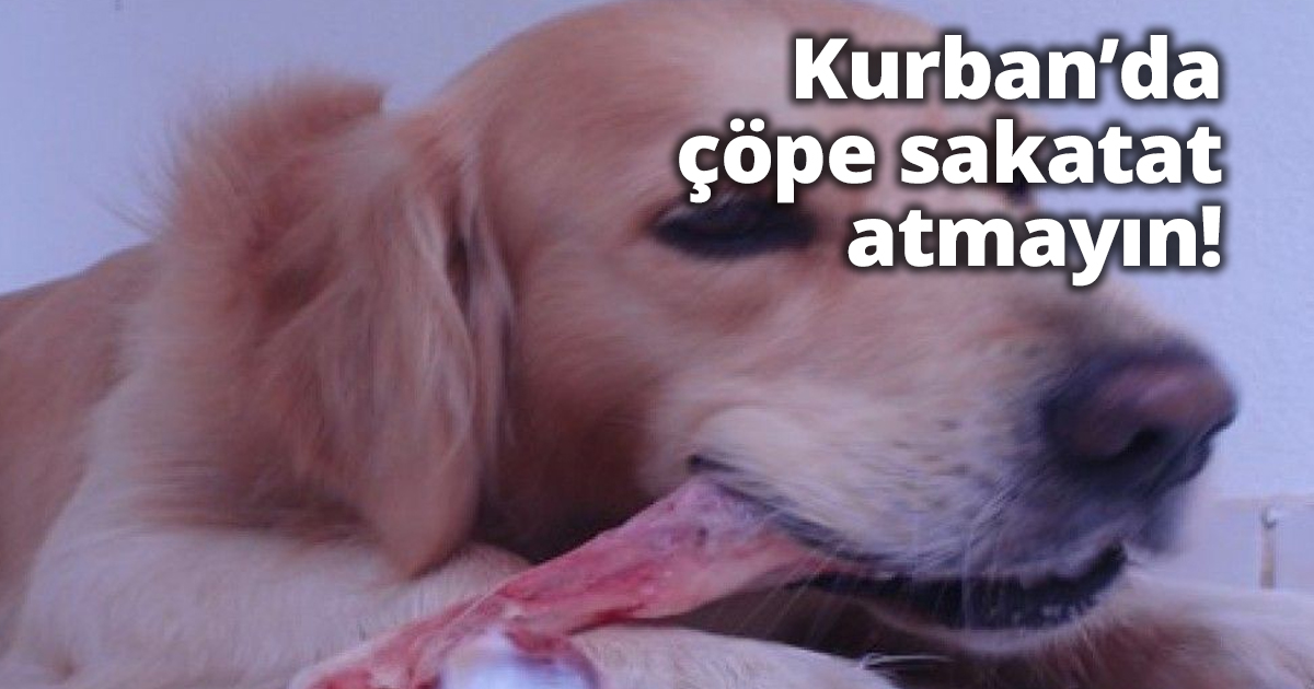 Kurban’da çöpe sakatat atmayın!