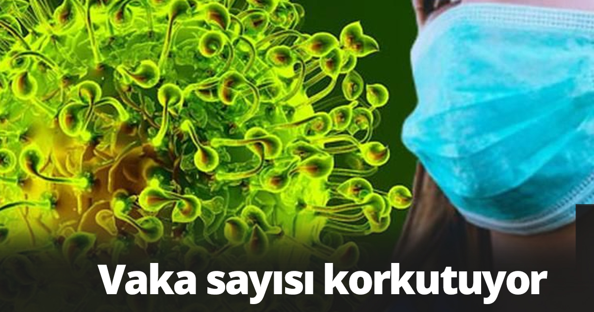 Vaka sayısı korkutuyor