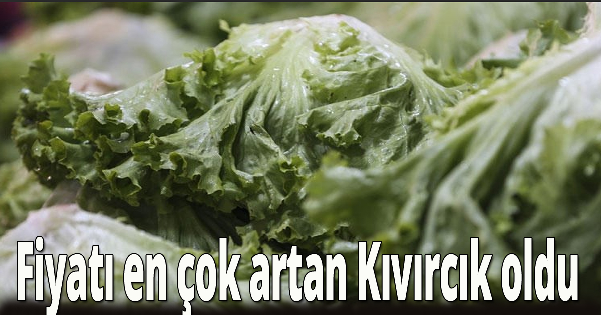 Fiyatı en çok artan Kıvırcık oldu 