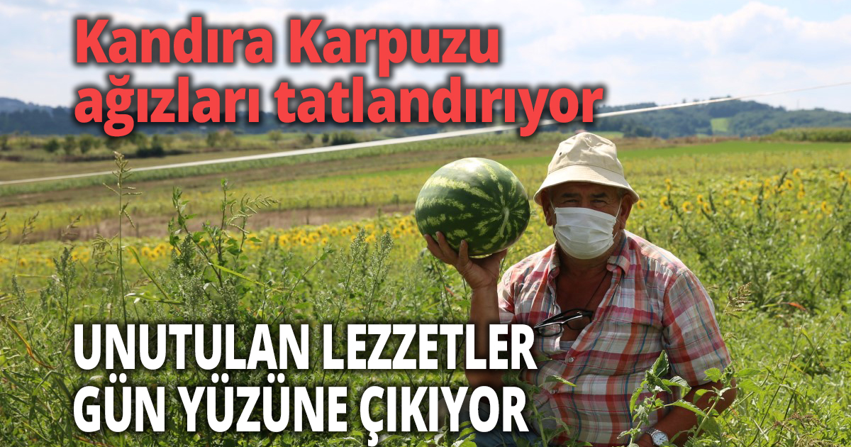Kandıra Karpuzu ağızları tatlandırıyor