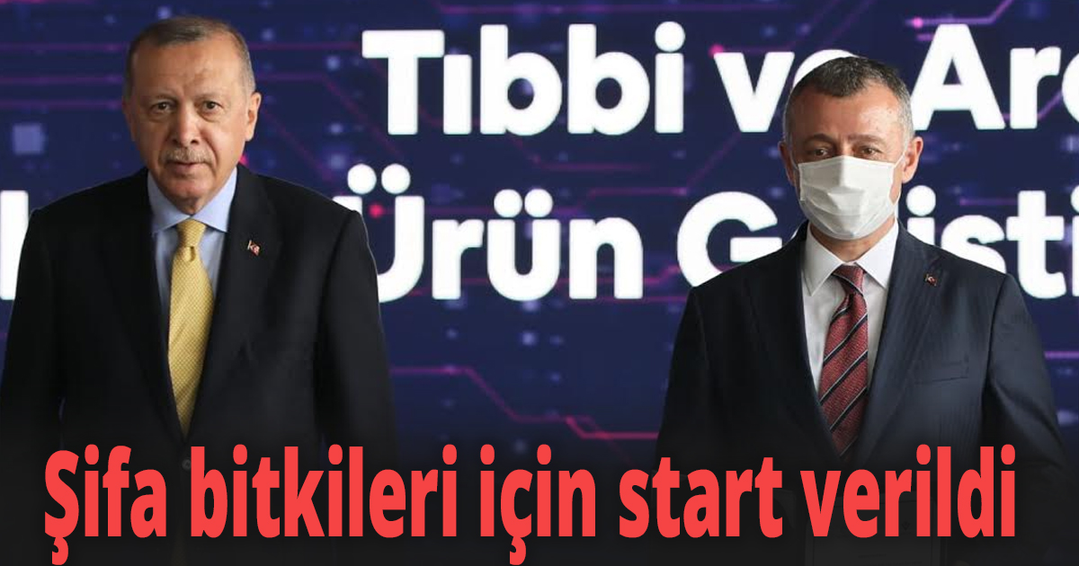 Şifa bitkileri için start verildi