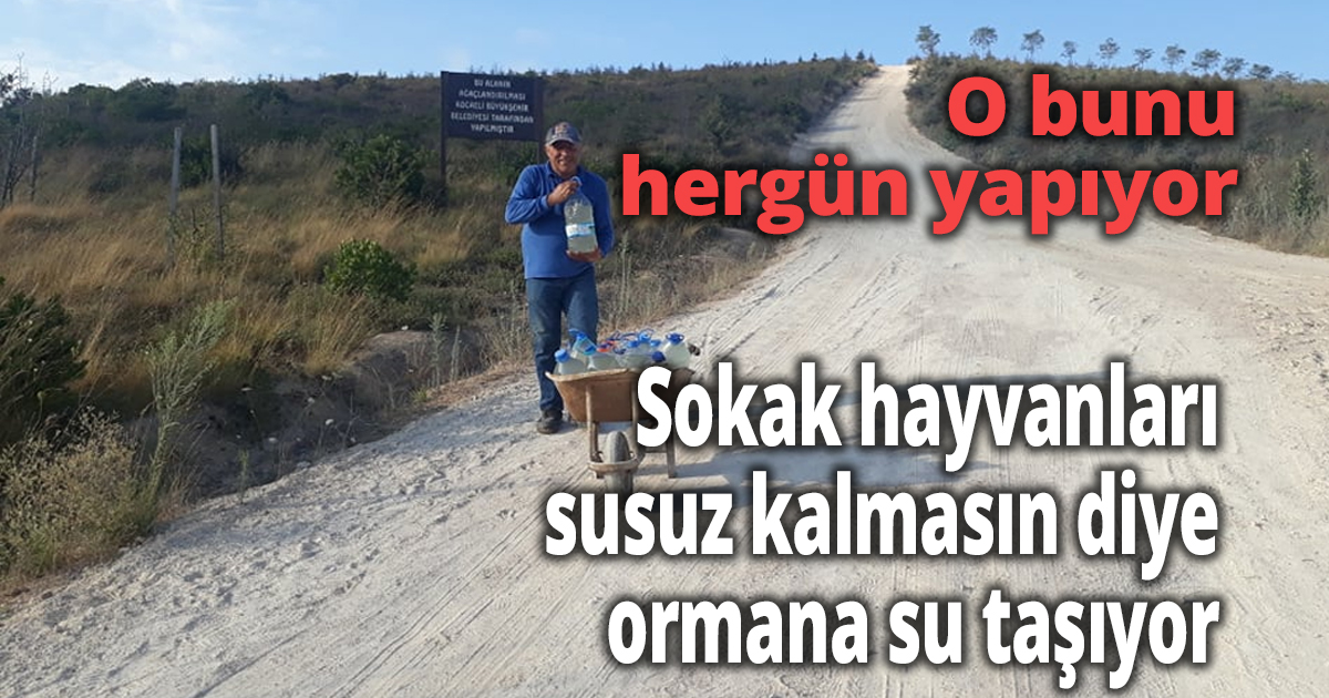 O bunu hergün yapıyor
