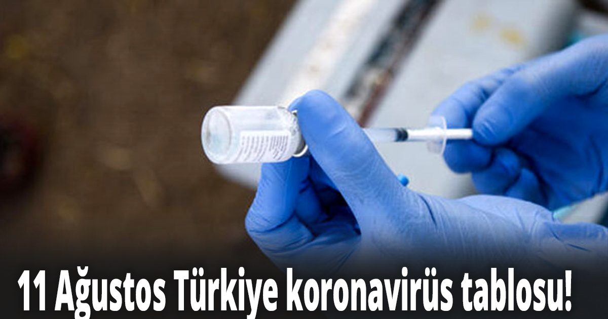 11 Ağustos Türkiye koronavirüs tablosu! 