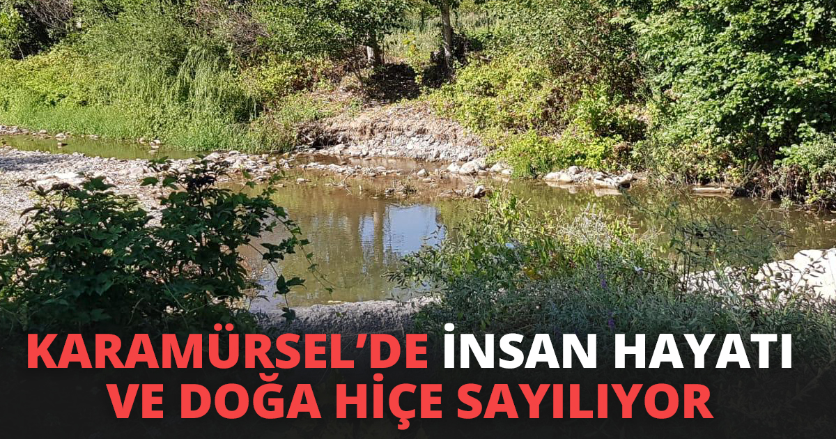 KARAMÜRSEL’DE İNSAN HAYATI VE DOĞA HİÇE SAYILIYOR