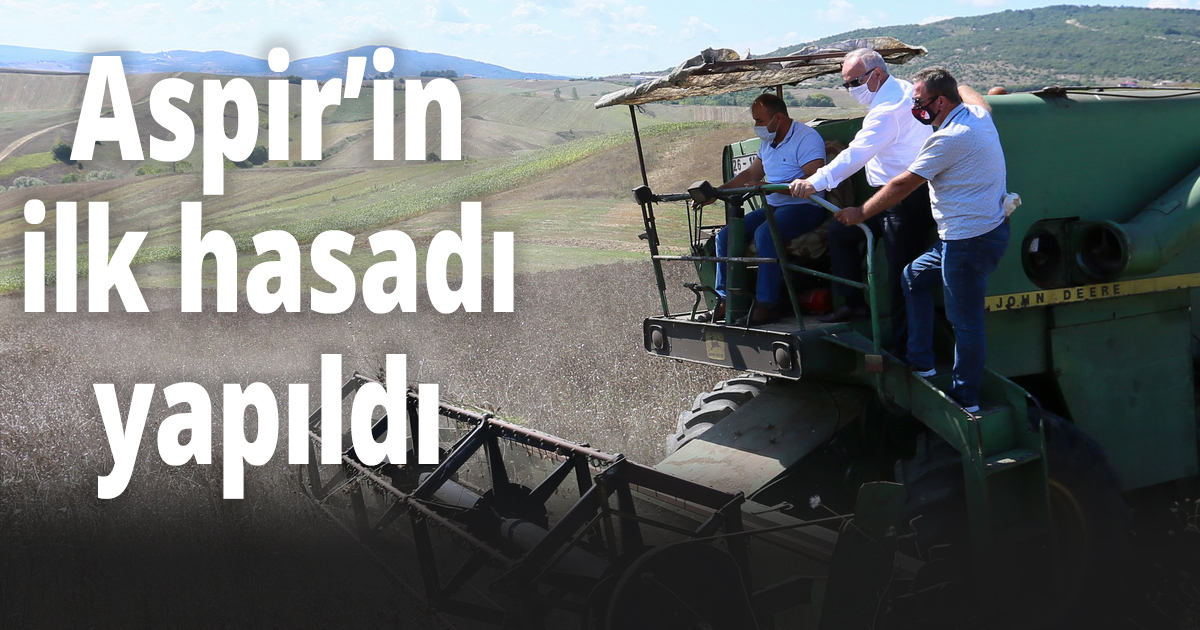 Aspir’in İlk Hasadı Yapıldı