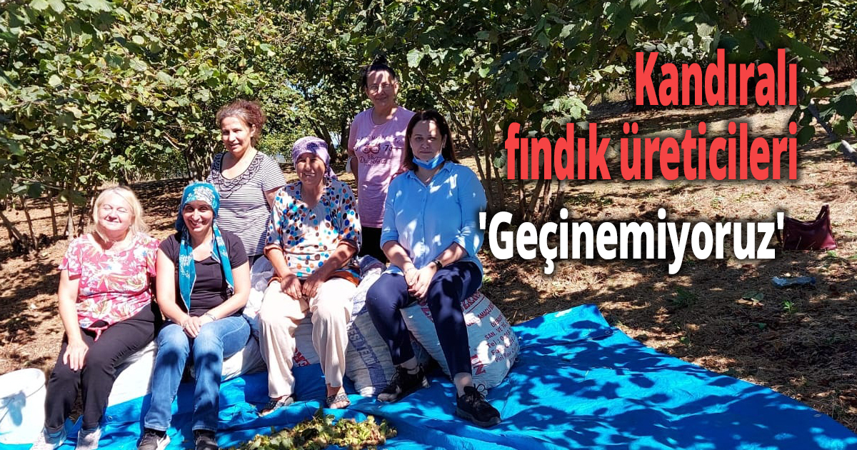 Kandıralı fındık üreticileri Geçinemiyoruz
