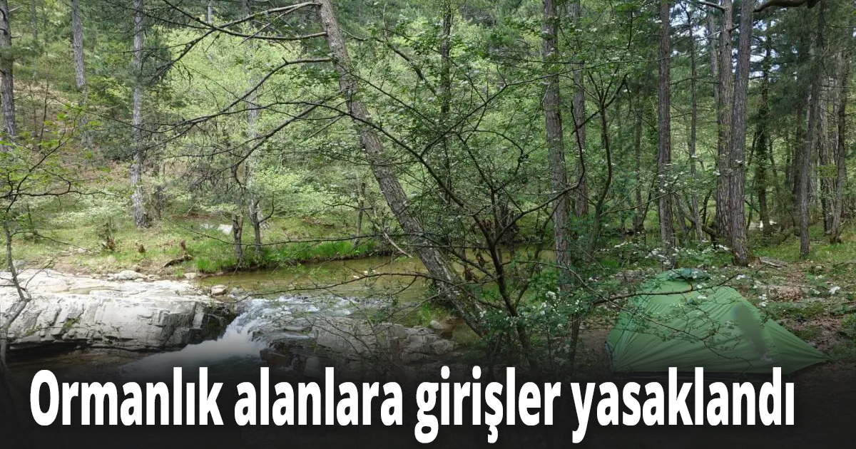 Kartepe'de yasakladı