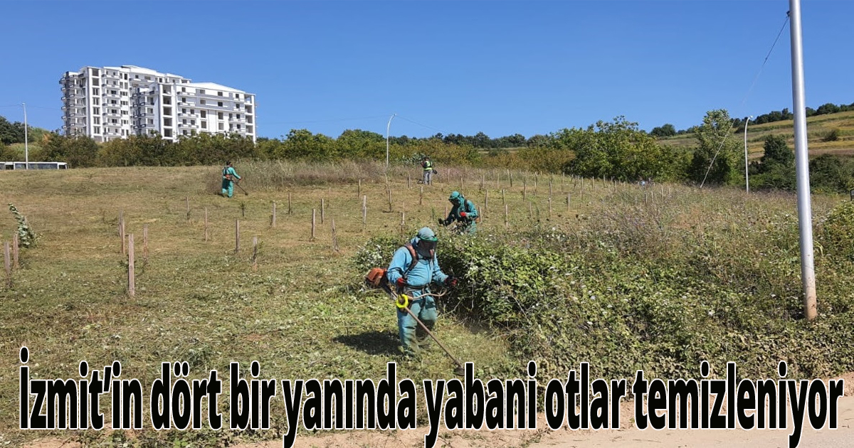 İzmit’in dört bir yanında yabani otlar temizleniyor