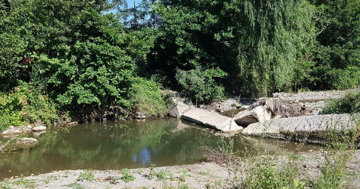 ZEHİRLENME VAKALARI TESADÜFİ DEĞİL