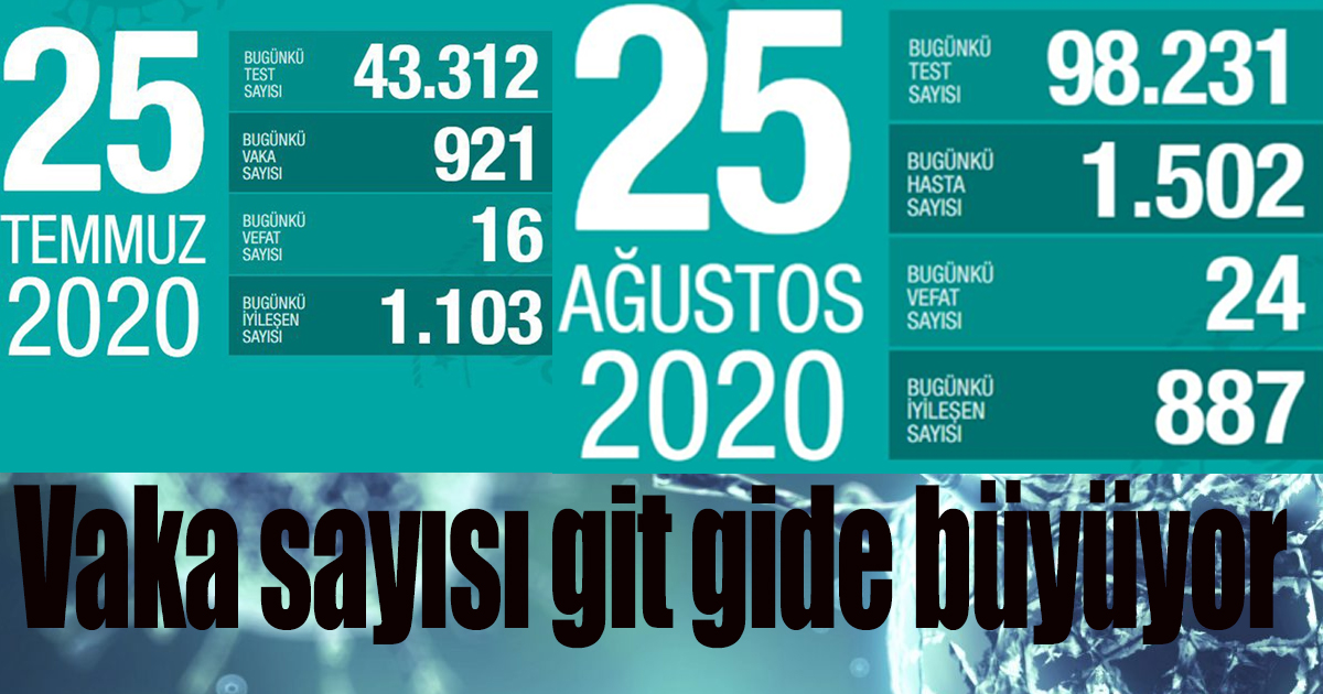 25 Ağustos Türkiye koronavirüs tablosu! 