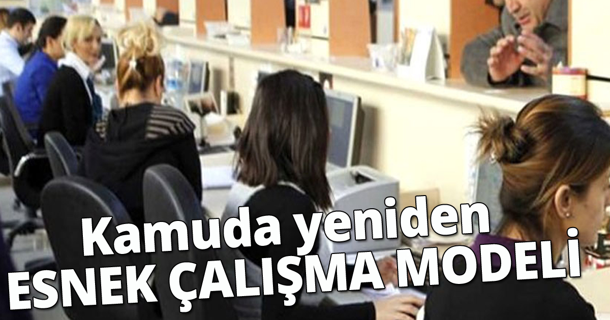 Kamuda yeniden esnek çalışma modeli