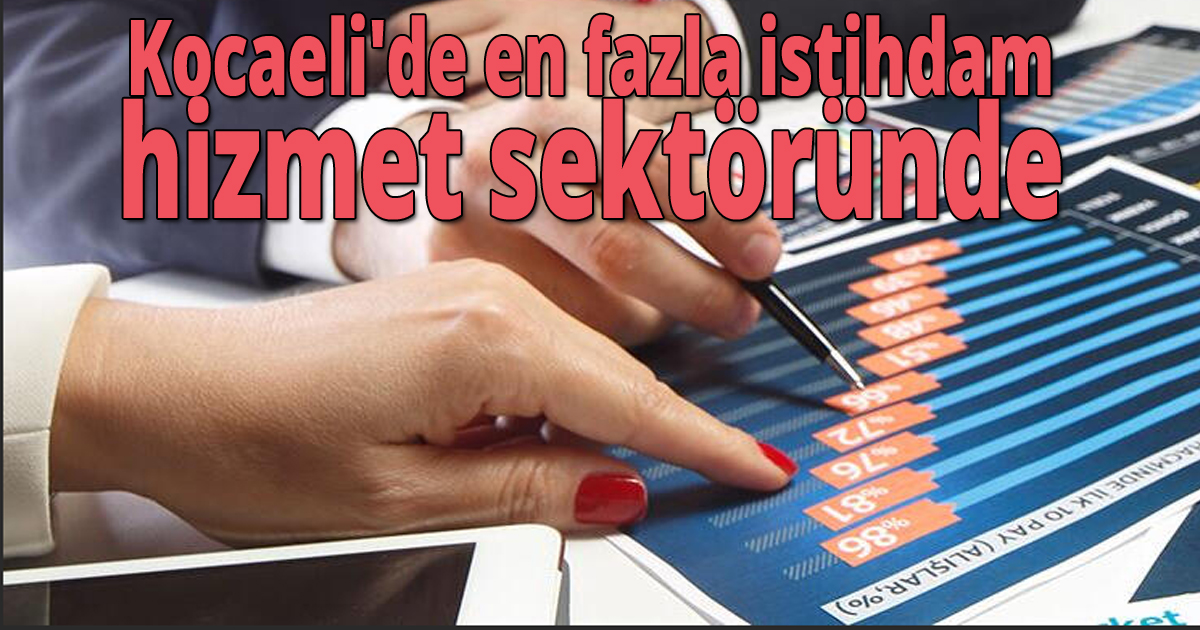 Kocaeli'de en fazla istihdam hizmet sektöründe 