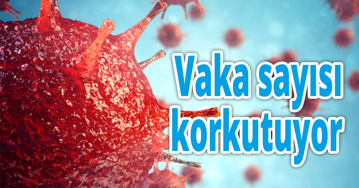 Vaka sayısı korkutuyor