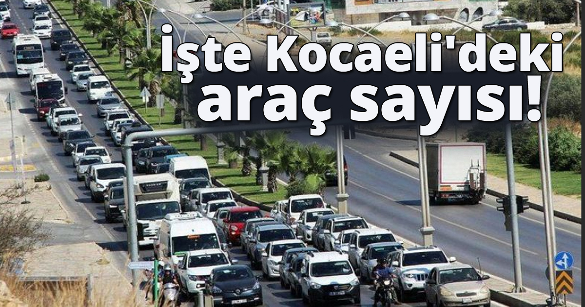 İşte Kocaeli'deki araç sayısı!