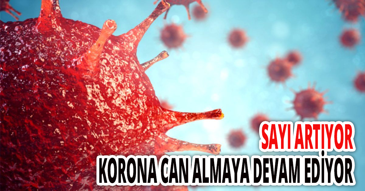 28 Ağustos Türkiye koronavirüs tablosu! 