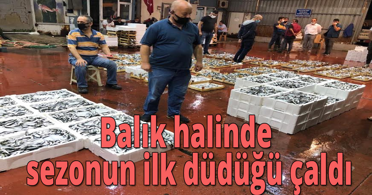 Balık halinde sezonun ilk düdüğü çaldı