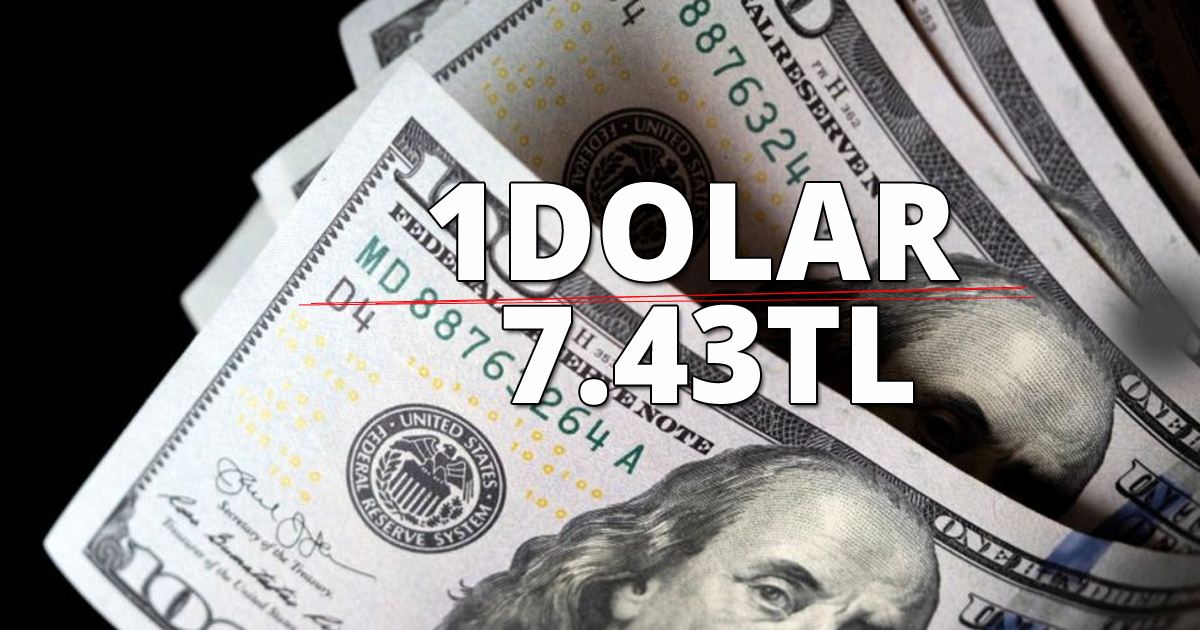 Dolar ve Euro tarihi rekor kırdı
