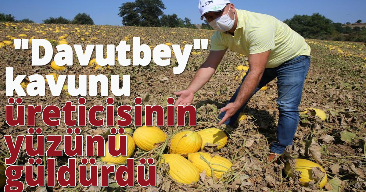 'Davutbey'kavunu üreticisinin  yüzünü güldürdü