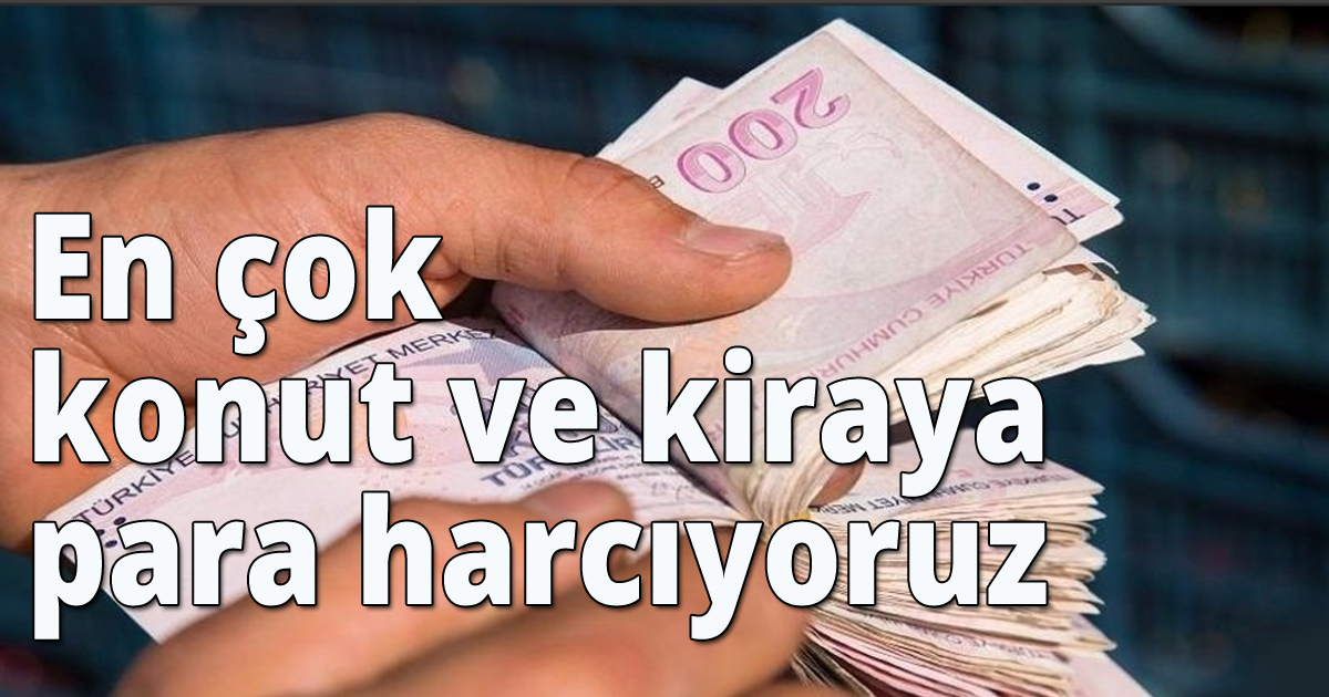 En çok konut ve kiraya para harcıyoruz