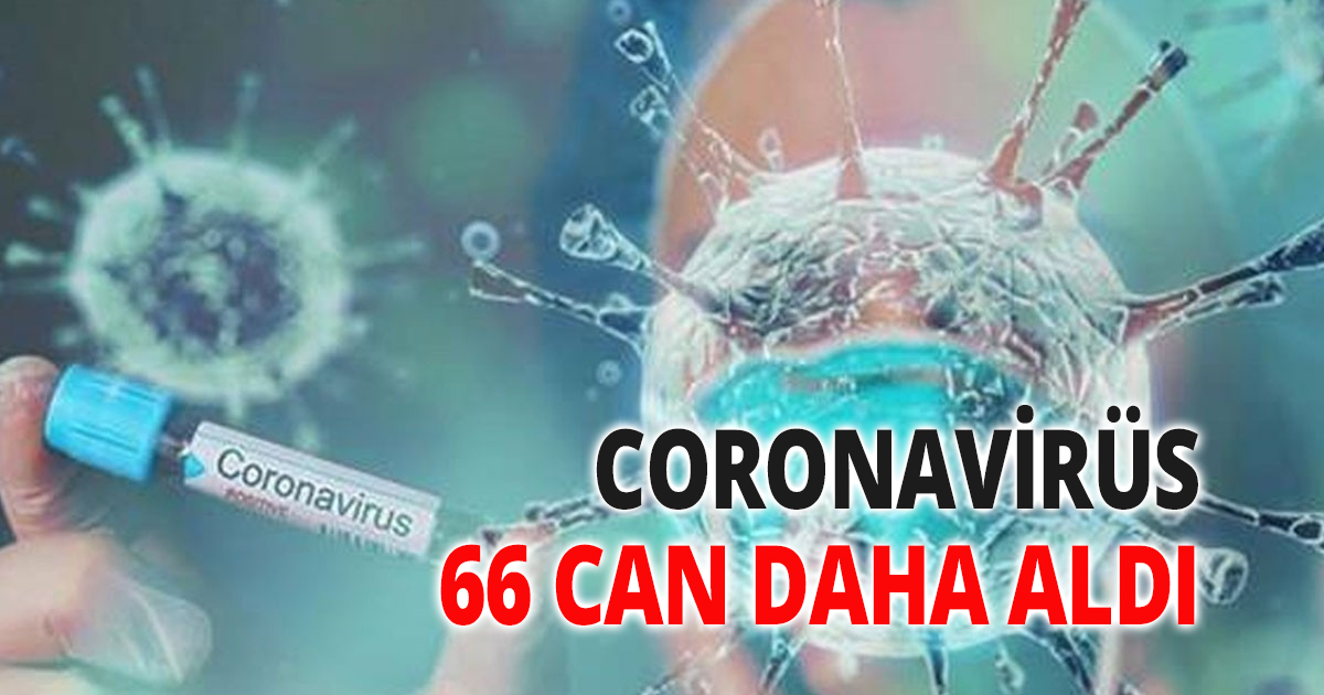 CORONAVİRÜS  66 CAN DAHA ALDI