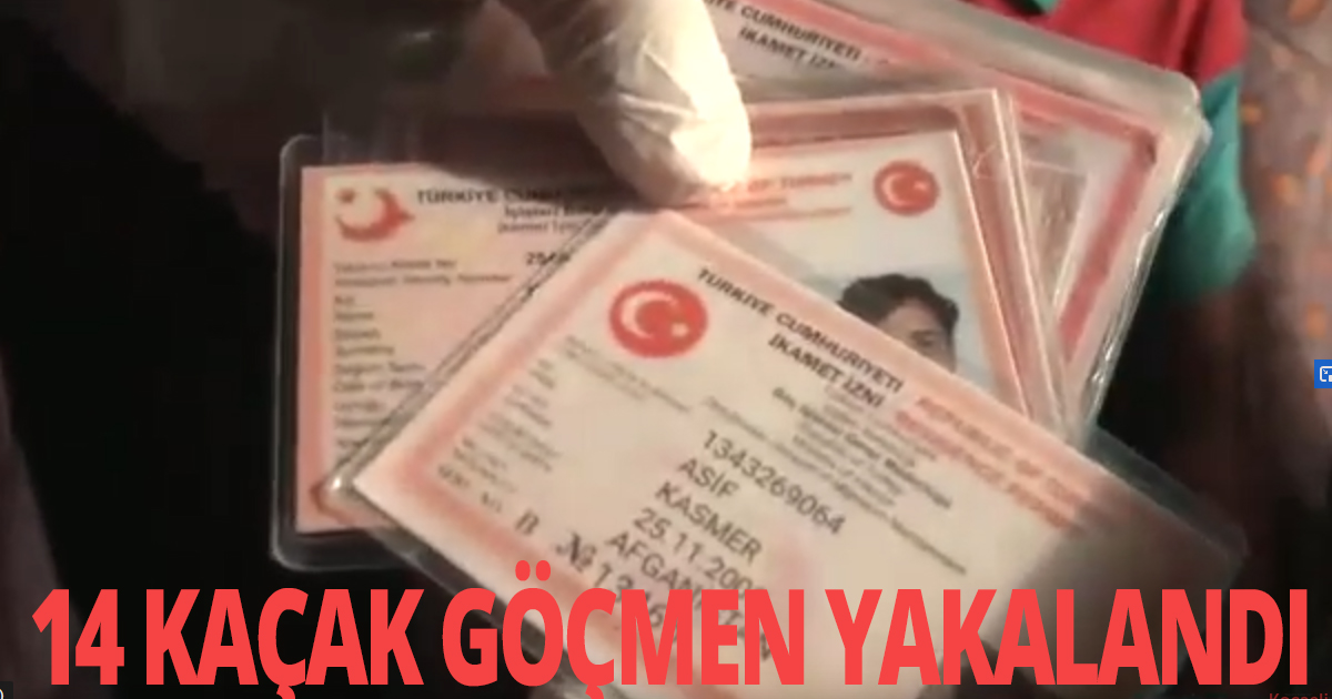 14 KAÇAK GÖÇMEN YAKALANDI