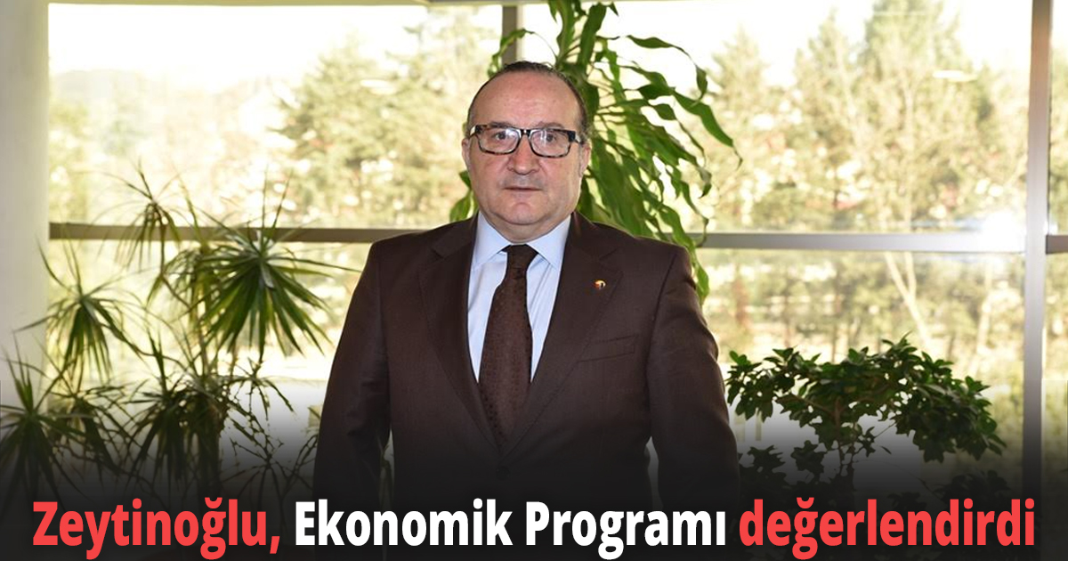 Zeytinoğlu, Ekonomik Programı değerlendirdi