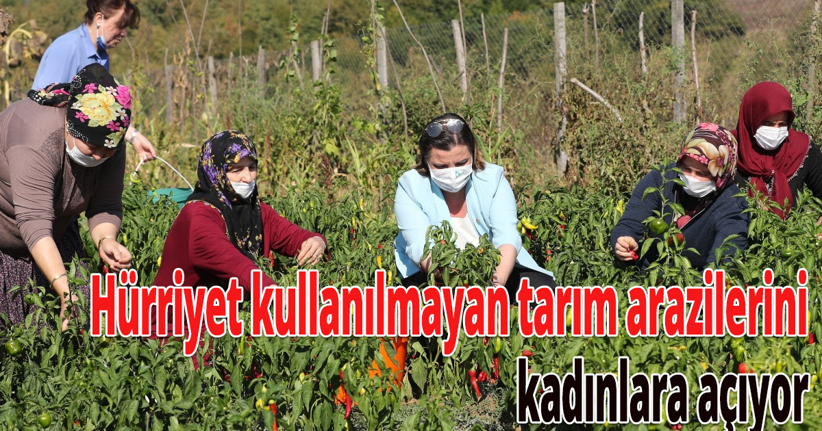 Hürriyet kullanılmayan tarım arazilerini kadınlara açıyor